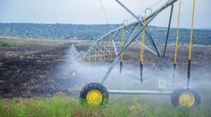 AfDB plans to invest nearly Rwf590bn in Rwanda’s agriculture