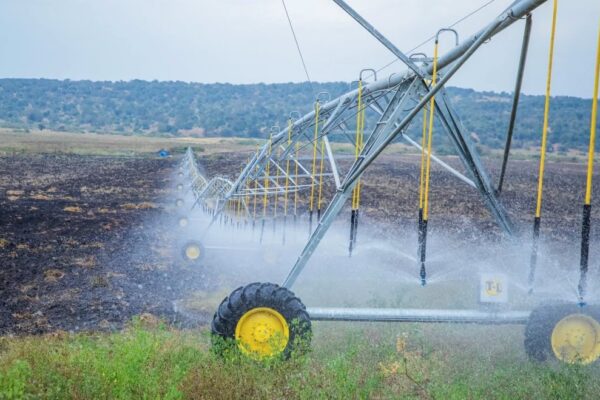 AfDB plans to invest nearly Rwf590bn in Rwanda’s agriculture